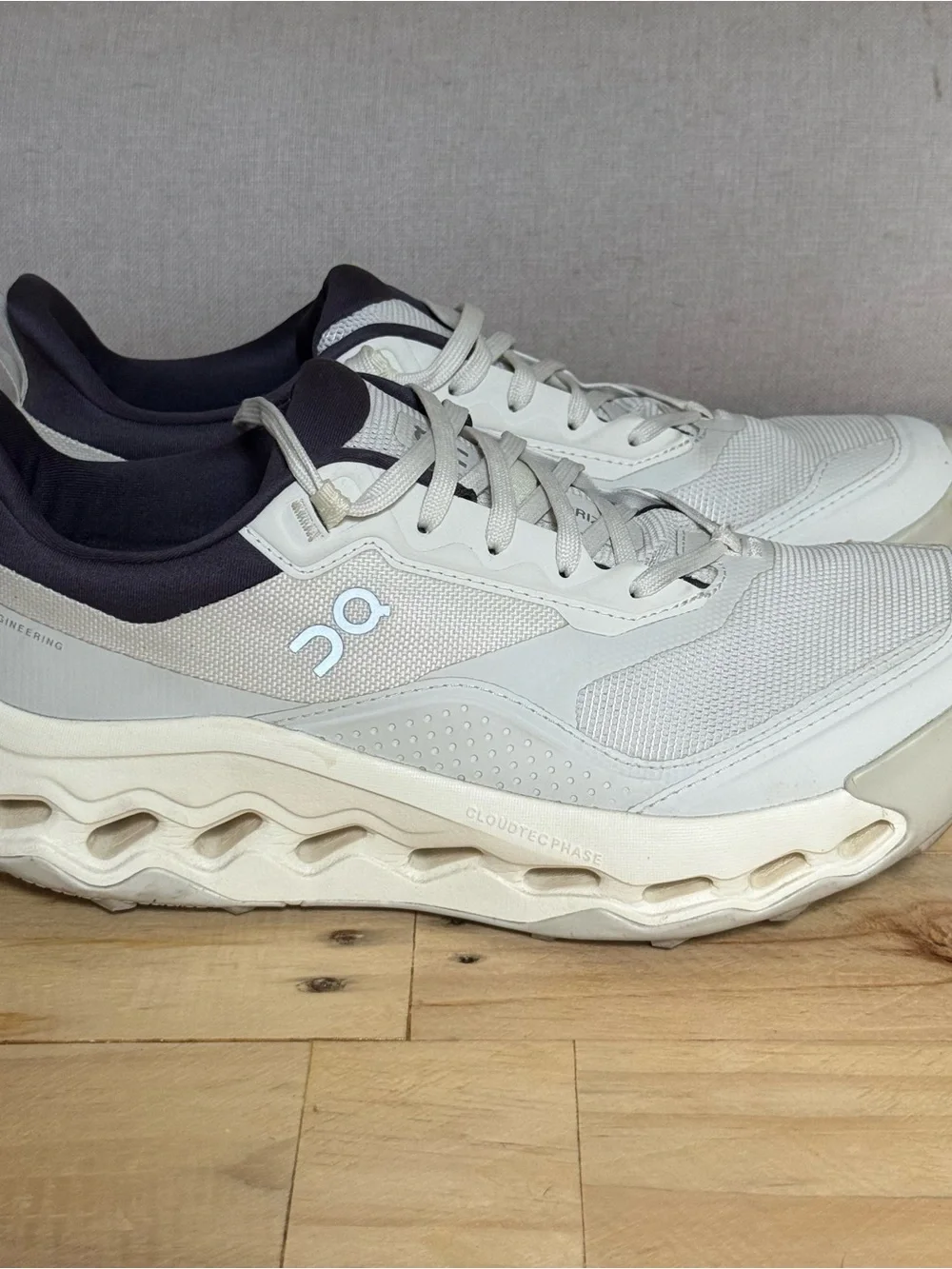 ON Cloudhorizon 2 Women size 9
